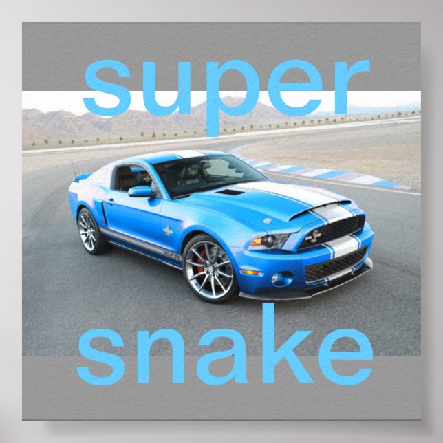 Póster poster de mustang (Frente)