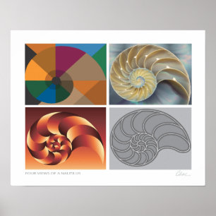 Póster Poster de Nautilus 4 views