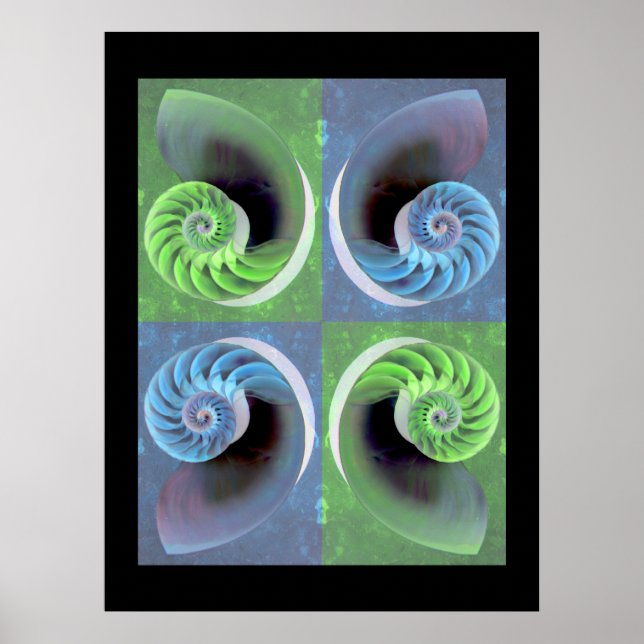 Póster Poster de Nautilus compuesto (Frente)