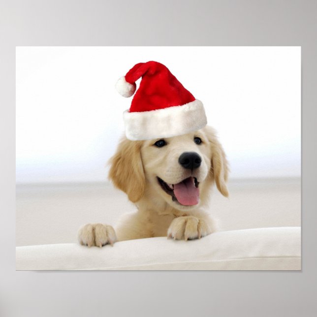 Póster Poster de Navidades de Cachorros de Golden Retriev (Frente)