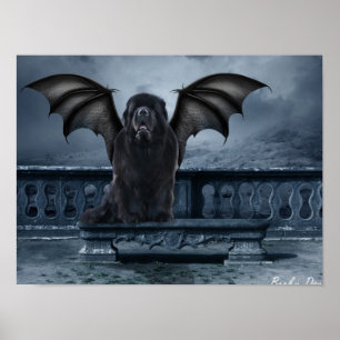 Póster Poster de Newfoundland Gargoyle