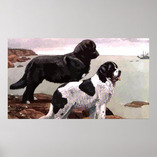 Póster Poster de Newfoundlands pintado