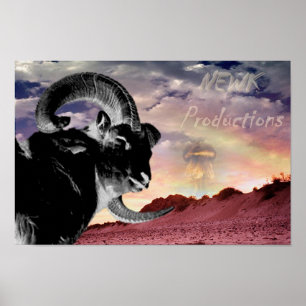 Póster Poster de Newk