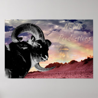 Póster Poster de Newk