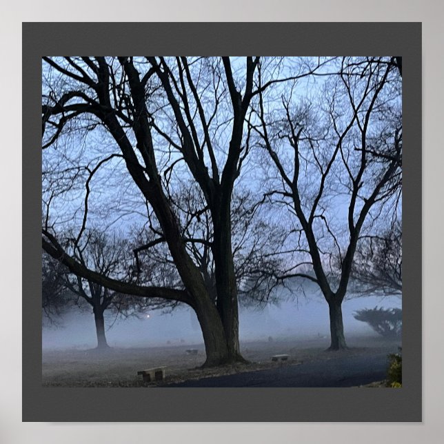 Póster Poster de niebla y árboles (Frente)