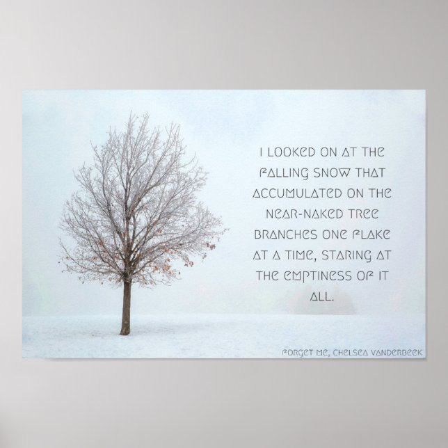 Póster Poster de Nieve Caída, Versión 1 (Frente)