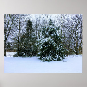 Póster Poster de nieve de invierno fresco