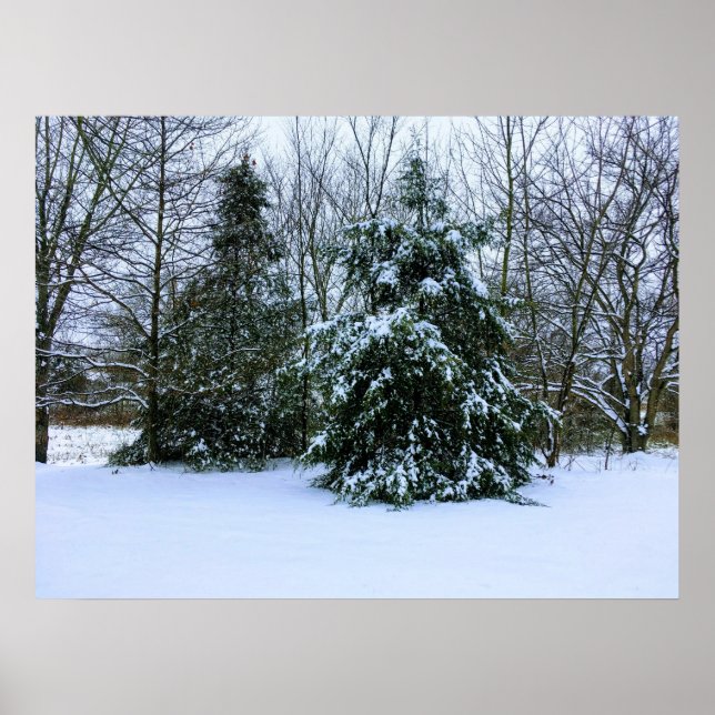 Póster Poster de nieve de invierno fresco (Frente)