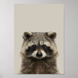 Póster Poster de Nursera de Animales Bebés - Racoon