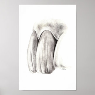 Póster Poster de Odontología Estética