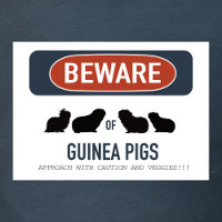 Poster de Ojo Cerdo de Guinea