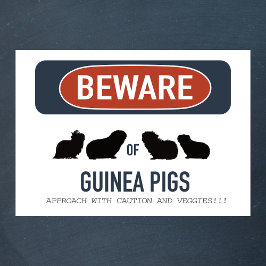 Póster Poster de Ojo Cerdo de Guinea