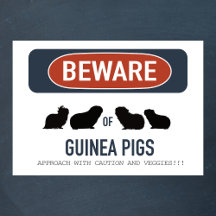 Poster de Ojo Cerdo de Guinea