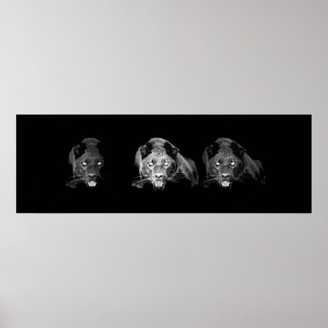 Póster Poster de ojos de gato jaguar negro salvaje (Frente)