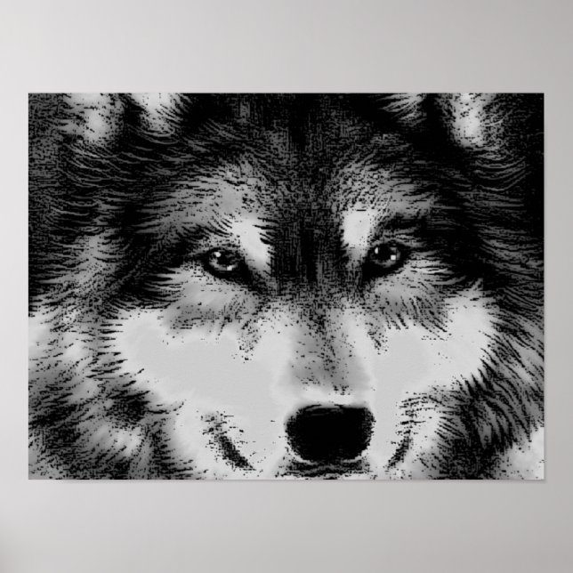 Póster Poster de ojos de lobo blanco y negro (Frente)