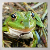 Poster de ojos de rana