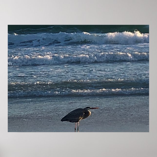 Póster Poster de ola de playa (Frente)