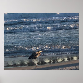 Póster Poster de ola de playa