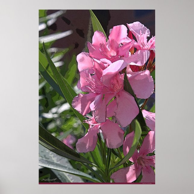 Póster Poster de Oleander Art -24x36 -otros tamaños dispo (Frente)