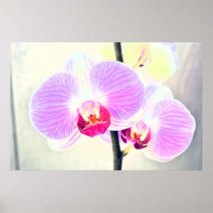 Póster Poster de orquídeas rosas pintadas