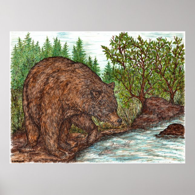 Póster Poster de oso (Frente)