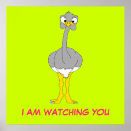 Póster Poster de Ostrich