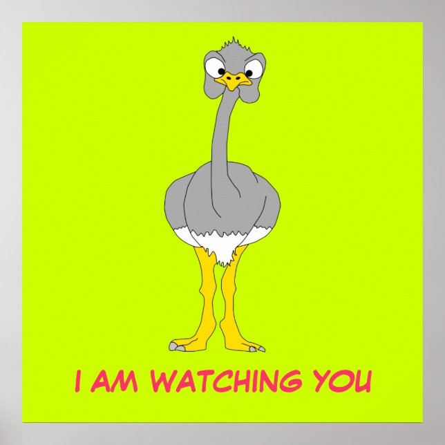 Póster Poster de Ostrich (Frente)
