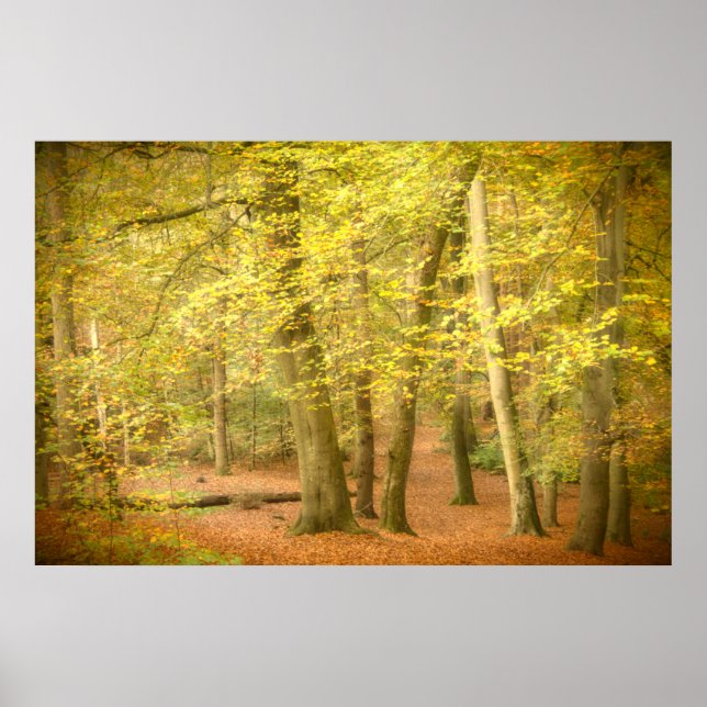 Póster Poster de Otoño Woodland (4364) (Frente)