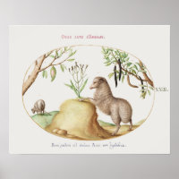 Poster de ovejas de época