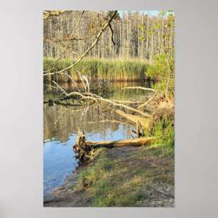 Póster Poster de paisaje de árboles caídos