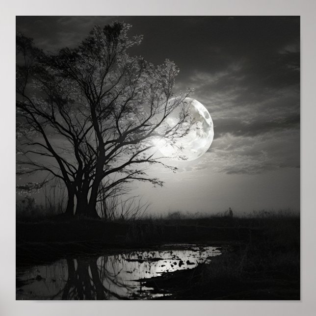 Póster Poster de paisajes de luna de noir blanco y negro (Frente)