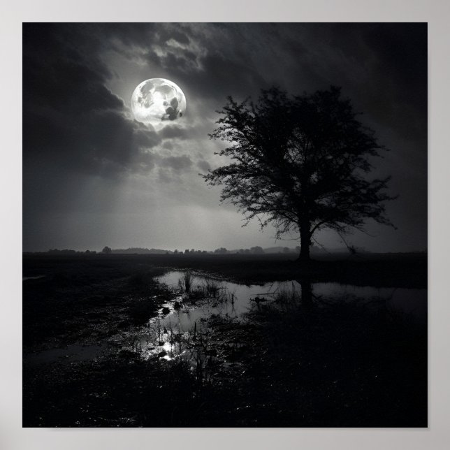 Póster Poster de paisajes de luna de noir blanco y negro (Frente)