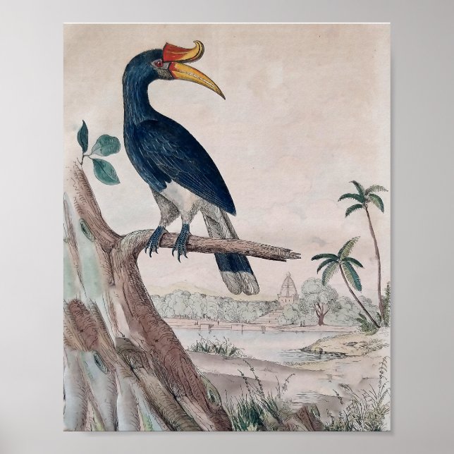 Póster Poster de pájaro (Frente)