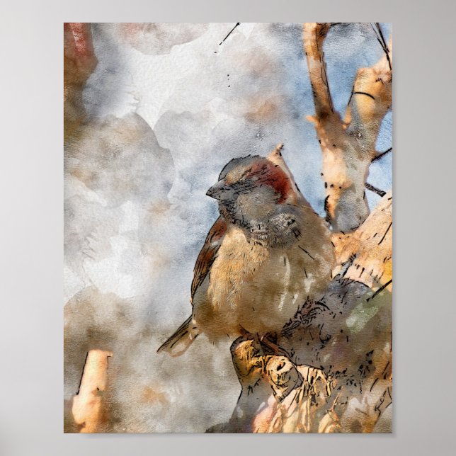 Póster Poster de pájaro (Frente)