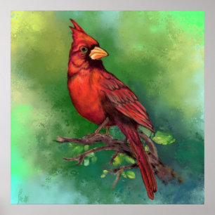 Póster Poster de pájaros del cardenal rojo del norte - Pi