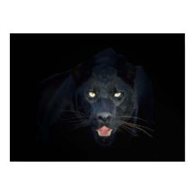 Poster de pantera negra