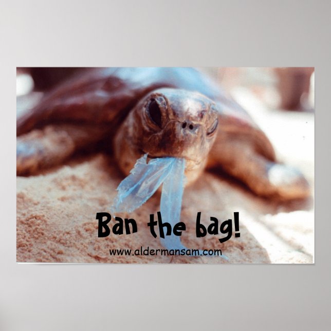 Póster Poster de pared (Frente)