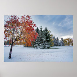 Póster poster de pared de 36x24