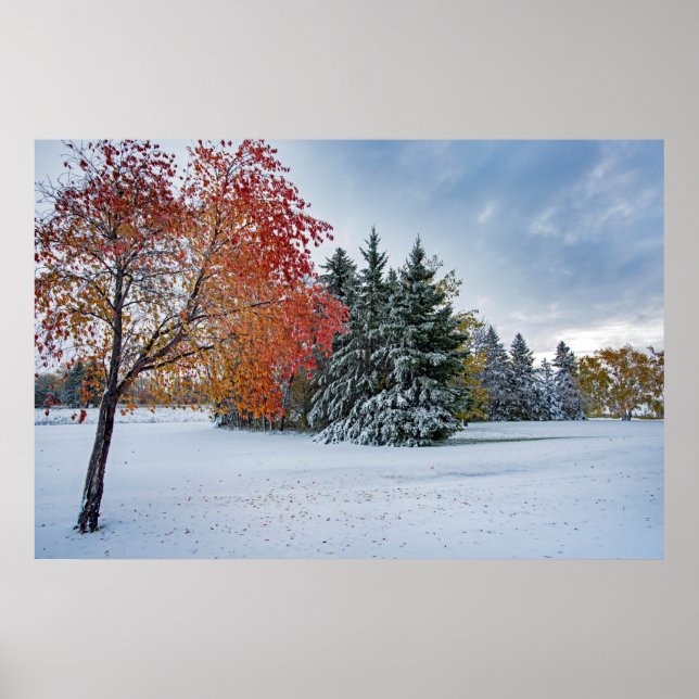 Póster poster de pared de 36x24 (Frente)