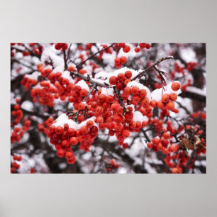 Póster poster de pared de 36x24