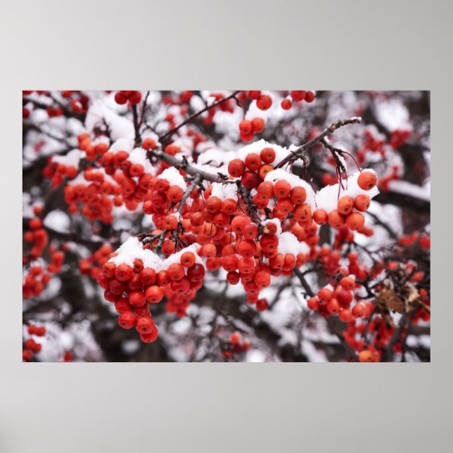 Póster poster de pared de 36x24 (Frente)