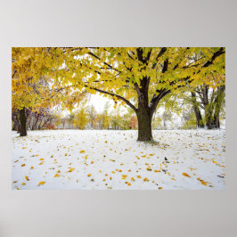 Póster poster de pared de 36x24