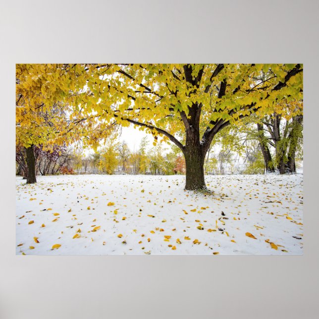 Póster poster de pared de 36x24 (Frente)