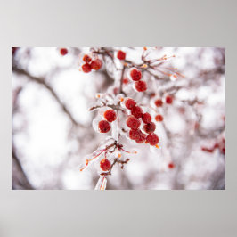 Póster poster de pared de 36x24