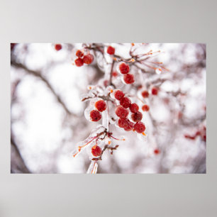 Póster poster de pared de 36x24