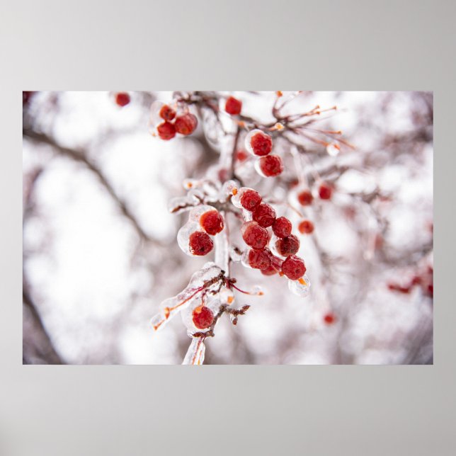 Póster poster de pared de 36x24 (Frente)
