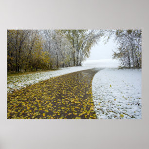 Póster poster de pared de 36x24