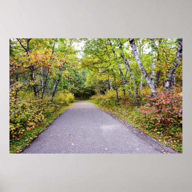 Póster poster de pared de 36x24 (Frente)