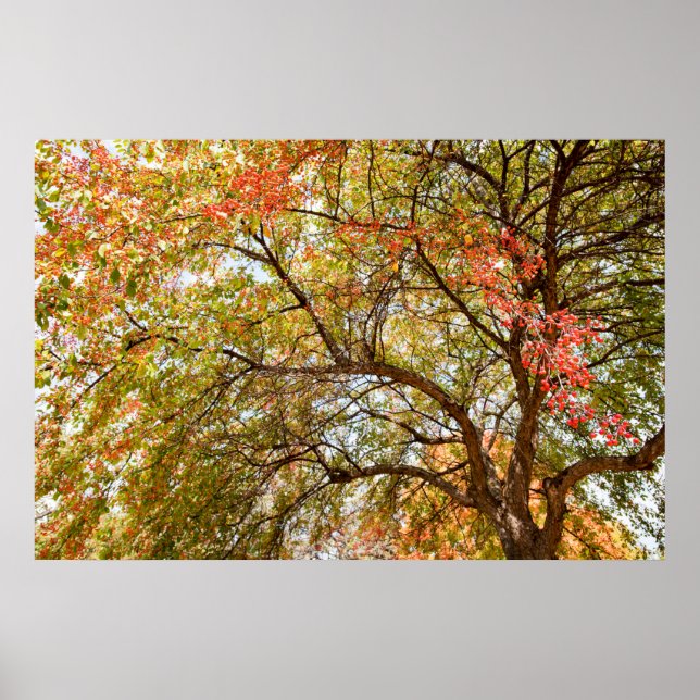 Póster poster de pared de 36x24 (Frente)