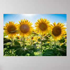 Póster poster de pared de 36x24